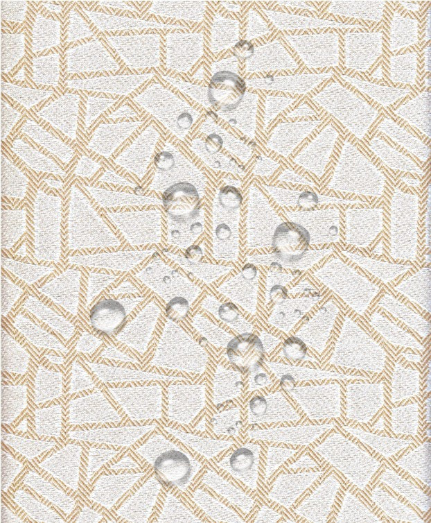 COVER Salvadivano - ROMA sabbia